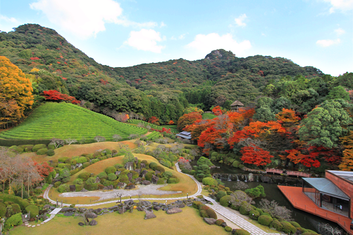 日本庭園 慧洲園