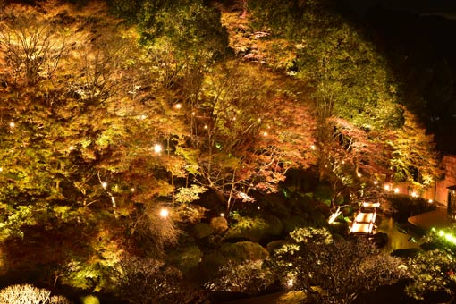 日本庭園 慧洲園