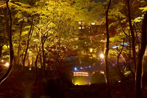 庭園全景
