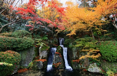 日本庭園 慧洲園